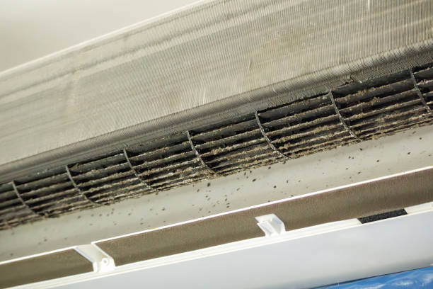 Best Affordable Air Duct Cleaning  in Lionville, PA